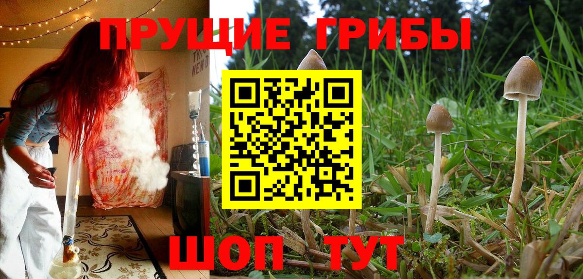 Псилоцибиновые грибы ЛСД  Вход с VPN  Мирный 