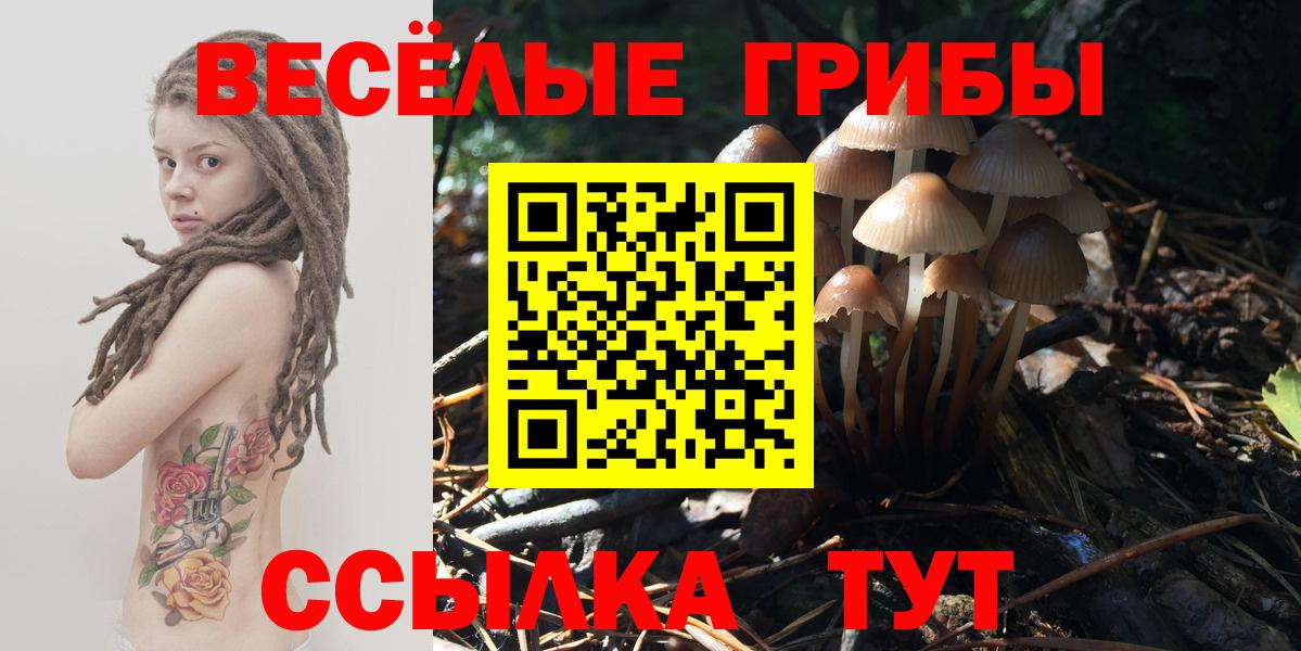 Галлюциногенные грибы ЛСД Мирный